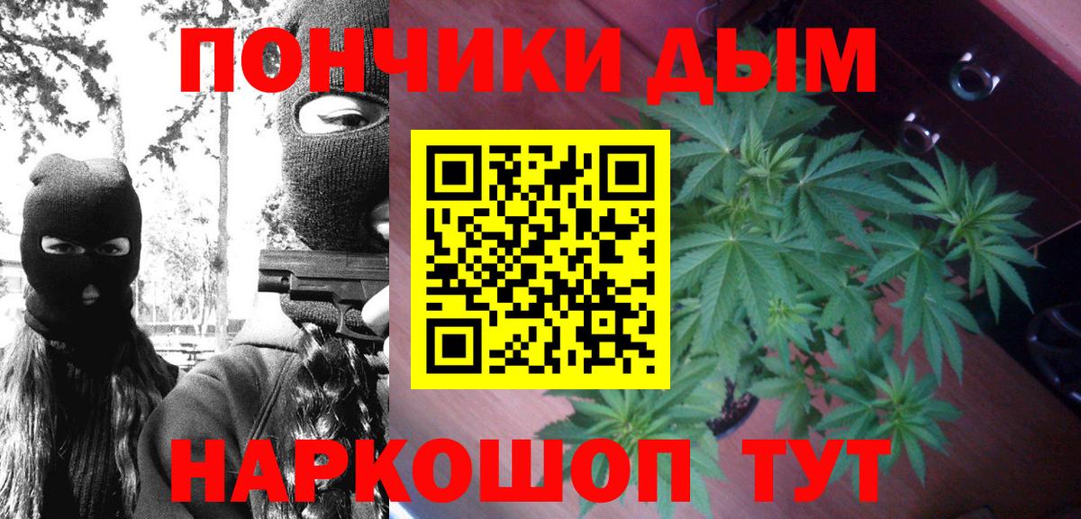 Марихуана семена Нововоронеж